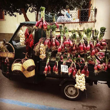 Casa Vacanza Di Ricadi, Da Aldo Santa Domenica (Vibo Valentia)